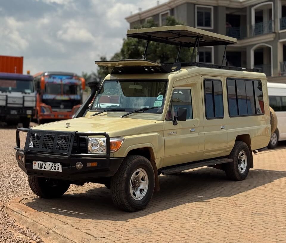 4x4 Trip Car Hire fleet