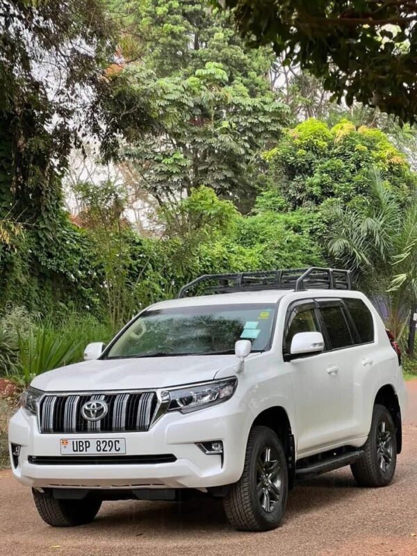 luxury car rental