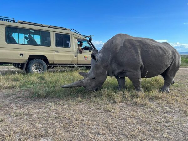 Uganda 4x4 adventures