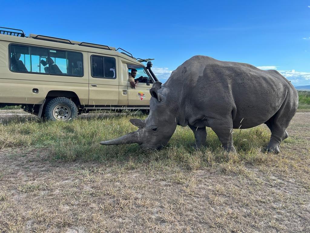 Renting a 4x4 Car in Uganda: Your Ultimate Guide for an Unforgettable Road Trip