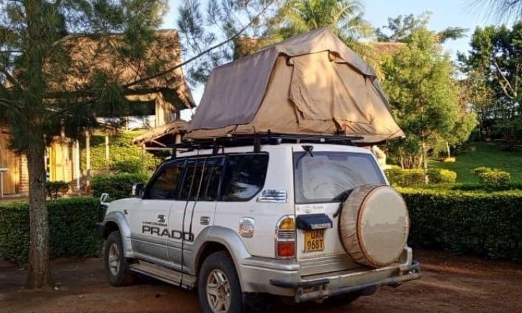 Your Ultimate Guide to 4x4 Car Rentals