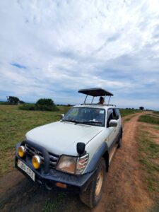 Budget-Friendly Safaris
