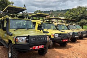 Best safari car rental Uganda