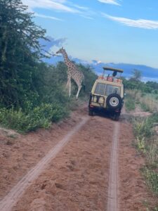 Uganda self drive