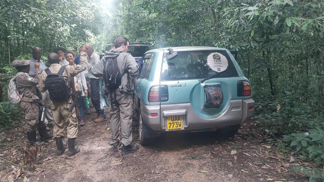 Self Drive Car Hire in Uganda: Explore the Pearl of Africa on Your Own Terms